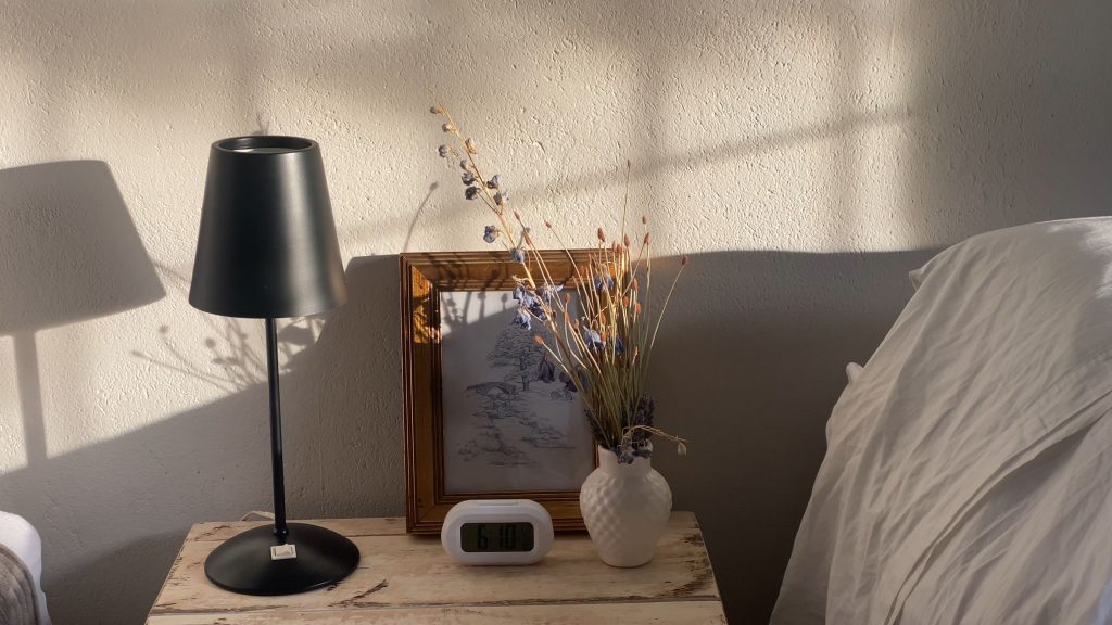 Soft morning light casting gentle shadows, visually symbolizing the quiet, somatic practice of nervous system regulation and how rest is intimacy.